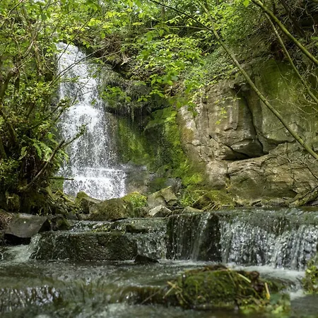 Theaked Stones 度假居 莱伯恩